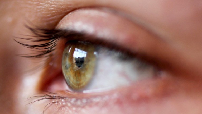 Göz Sağlığı İçin Doktora Gitmeden Önce Bunları Mutlaka Yapın! Bu Besinlerin Hepsi Göz Sağlığına Faydalı!