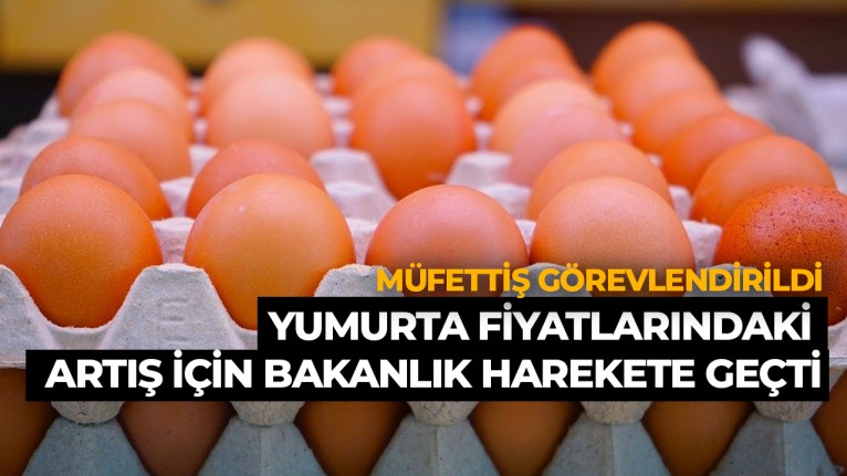Yumurta Fiyatlarındaki Artış İçin Bakanlık Düğmeye Bastı