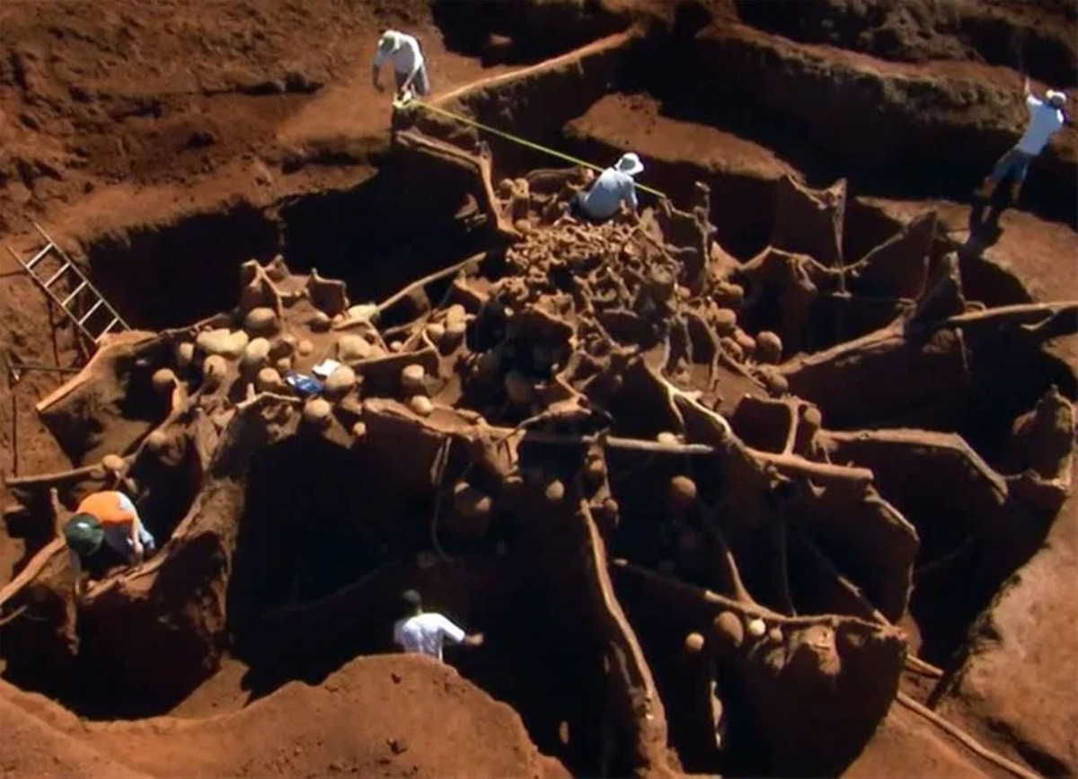 Человек проживший под землей. Подземный город муравьёв в Бразилии. Подземные города муравьев атта. Раскопки муравейника. Муравейник под землей.