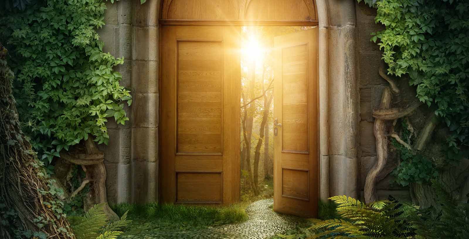 Открытая дверь в сказку. Сказочные ворота. Сказочная дверь. Дверь в сказку. Дверь в сказочный домик.