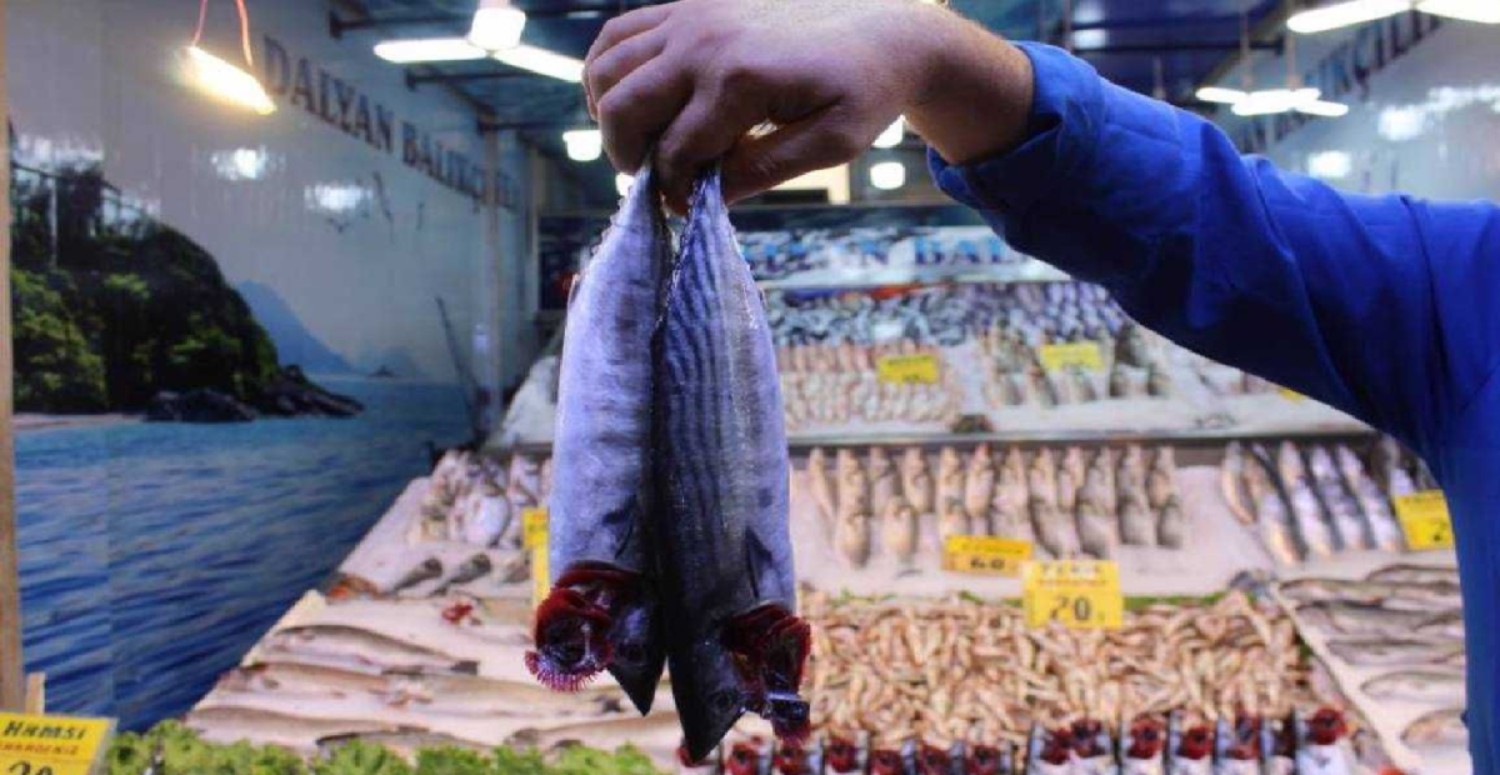 balık fiyatlarında artış
